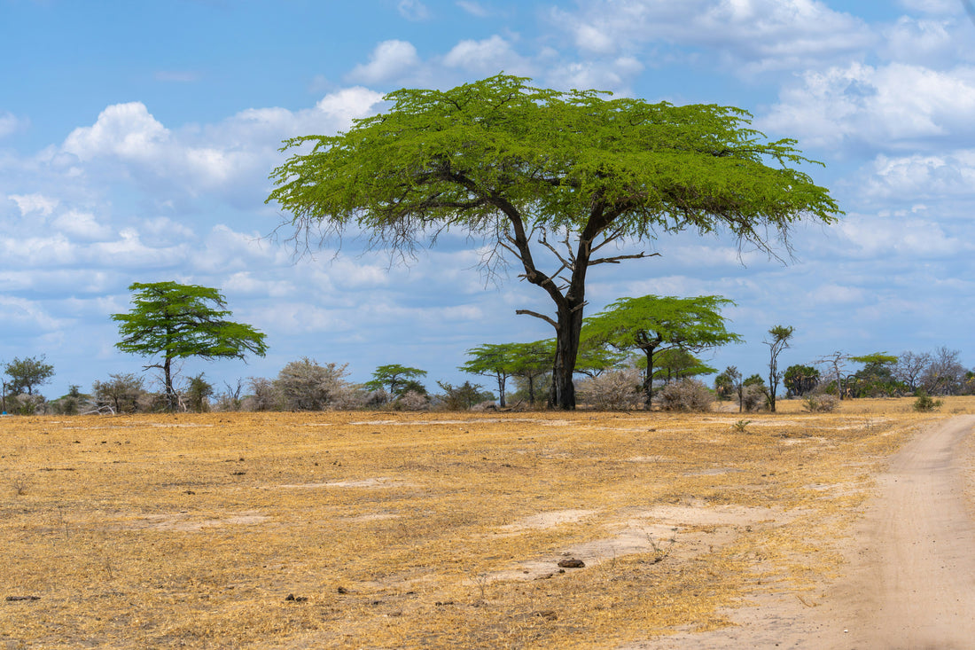 Day trips within an hour of Lusaka