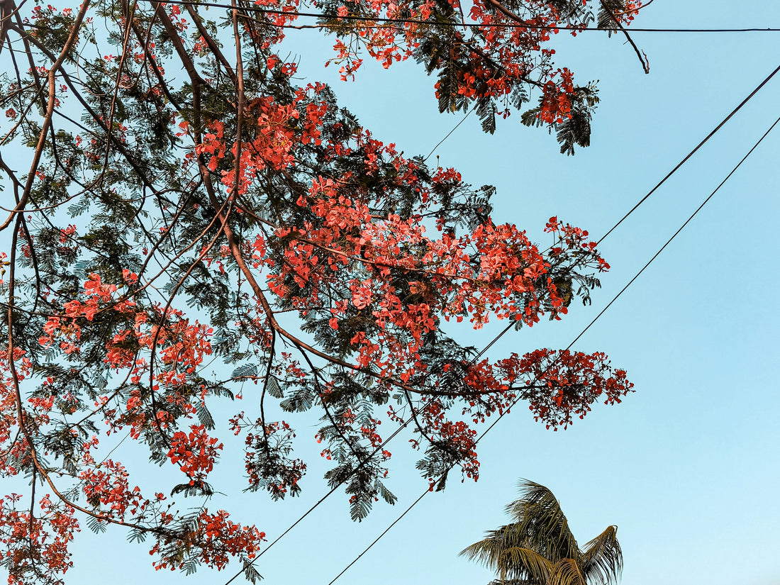 The best time to visit Lusaka (and why most guides get it wrong)